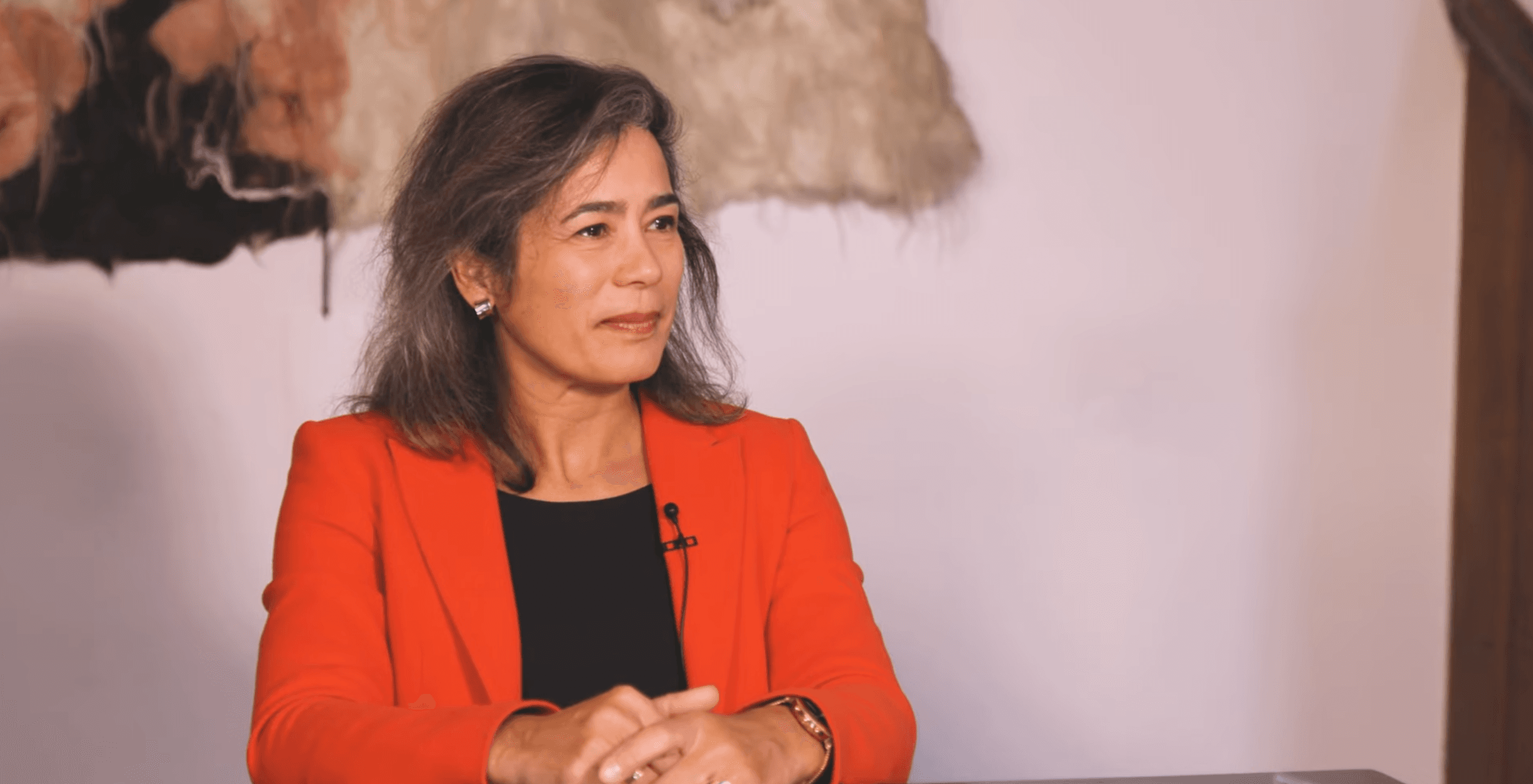 Video preview: Rosemarie Mijlhoff in de media