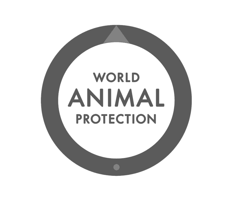World Animal Protection